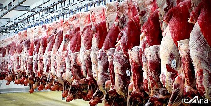 گرانی گوشت قرمز و مرغ قابل قبول نیست/ وزارت جهاد کشاورزی بازار را تنظیم کند